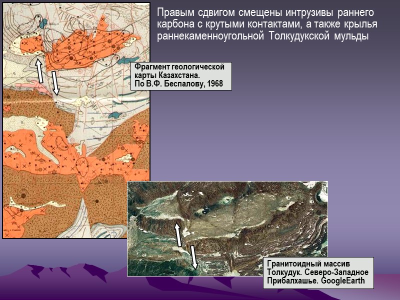 Правым сдвигом смещены интрузивы раннего карбона с крутыми контактами, а также крылья раннекаменноугольной Толкудукской Правым сдвигом смещены интрузивы раннего карбона с крутыми контактами, а также крылья раннекаменноугольной Толкудукской